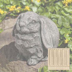 Campania Butterball
