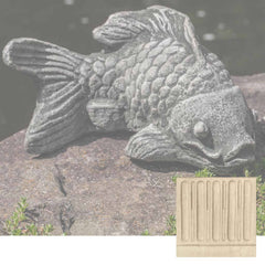 Campania Coy Koi