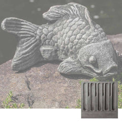 Campania Coy Koi