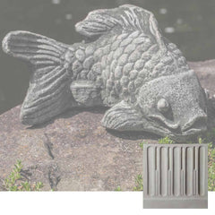 Campania Coy Koi