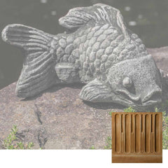 Campania Coy Koi