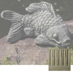 Campania Coy Koi