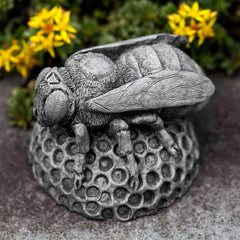 Campania Honey Bee