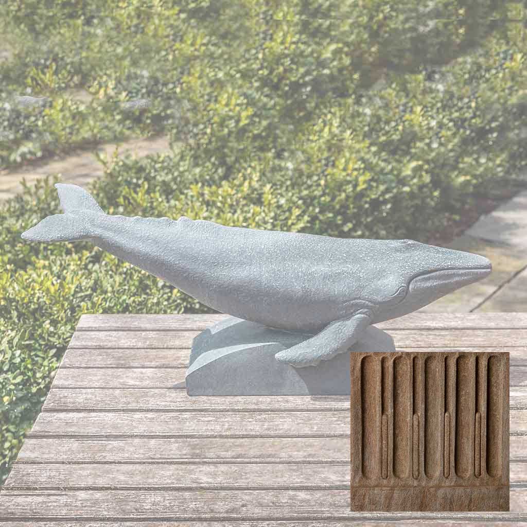 Campania Humpback Whale