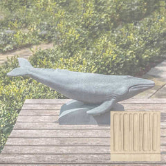 Campania Humpback Whale