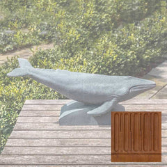 Campania Humpback Whale
