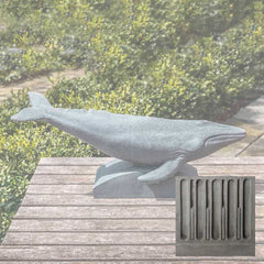 Campania Humpback Whale