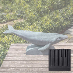 Campania Humpback Whale