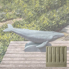Campania Humpback Whale