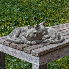 Campania Nap Time Kittens