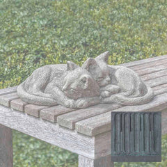 Campania Nap Time Kittens