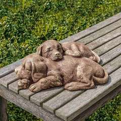 Campania Nap Time Puppies