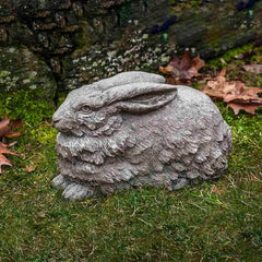 Campania Flemish Hare