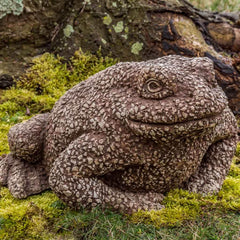Campania Forest Toad