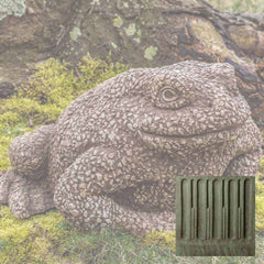 Campania Forest Toad