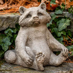 Campania Ricky Racoon