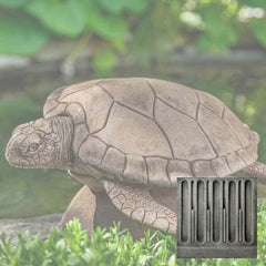 Campania Large Sea Turtle