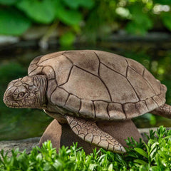 Campania Large Sea Turtle