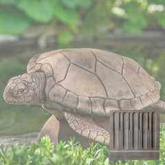 Campania Large Sea Turtle