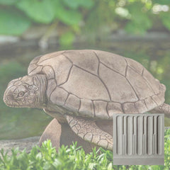 Campania Large Sea Turtle