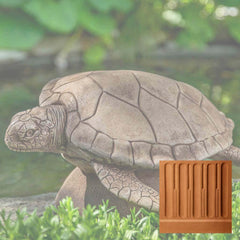 Campania Large Sea Turtle