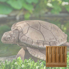 Campania Large Sea Turtle