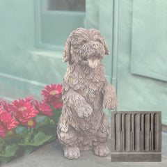 Campania Cooper