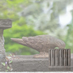 Campania French Dove