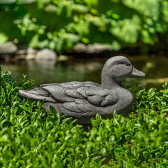 Campania Decoy Duck