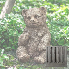 Campania Bear Cub