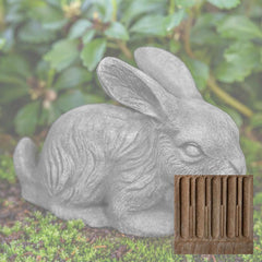 Campania Bunny