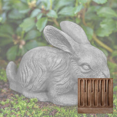 Campania Bunny