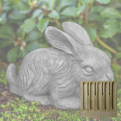 Campania Bunny