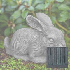 Campania Bunny