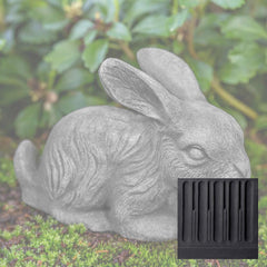 Campania Bunny