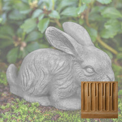 Campania Bunny