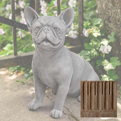 Campania Frenchie