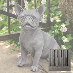 Campania Frenchie