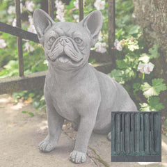 Campania Frenchie