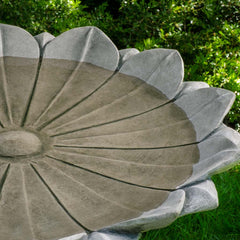 Campania Marguerite Birdbath