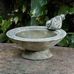 Campania Songbird's Rest Birdbath