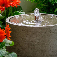 Campania Salinas Fountain, Tall