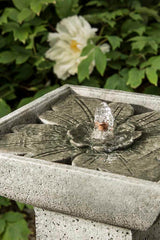 Campania Andra Fountain