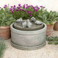 Campania Pasarros Fountain