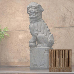 Campania Nara Foo Dogs