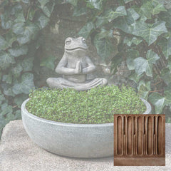Campania Meditation Frog Planter