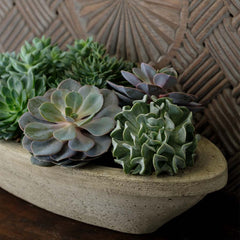 Barca Planters