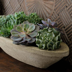Barca Planters