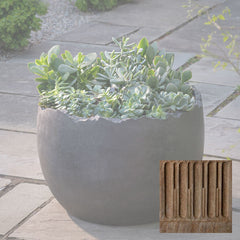 Campania Broken Egg Planter - Grade AA