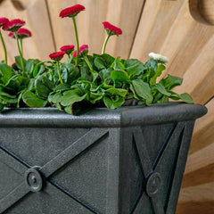 Campania Directoire Terrace Planters and Windowbox